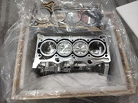 Nuevo Conjunto de Bloque de Cilindros de Repuesto BYD YangWang U8/U8L/U9/Qin PLUS/Song PLUS/Tang/Seagull/Dolphin/Yan 487ZQD-5-1002900