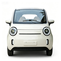 Nouveau véhicule électrique à quatre roues entièrement fermé, à basse vitesse, petit véhicule domestique à énergie nouvelle