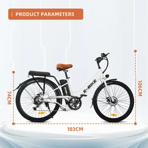 E Bike 2024 US Warehouse City Electric Bicycle 36V 250W Rear Brushless Motor 7 Speed City Ebike Electric City Bike