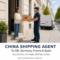 Agent maritime chinois vers le Royaume-Uni, l'Allemagne, la France : Service de fret maritime LCL/FCL, fret aérien express, porte-à-porte, DDP, assurance, prix compétitifs