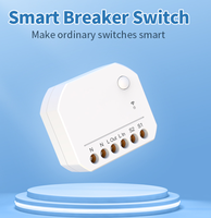 Module de relais intelligent WiFi 2.4GHz aucun fil neutre requis, prise en charge de la voix, certification FCC, réglage de scène intelligent multifonctionnel