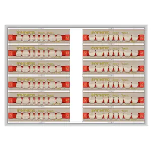 Manufacturer Multi-layer Acrylic Resin Denture Teeth