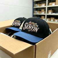 Casquettes de baseball ajustées 6 panneaux 100 % polyester, style sportif, broderie multicolore personnalisée, promotion commerciale, vente en gros directe usine Chine