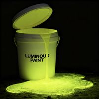 Peinture phosphorescente luminescente pour pistes sportives, peinture luminescente pour l'art peint à la main et peinture phosphorescente