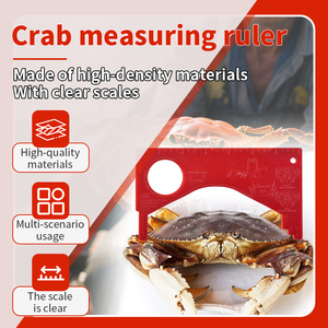 7 inch chuyên nghiệp <span class=keywords><strong>PVC</strong></span> tôm hùm & Cua đo Cai Trị - Product Image 2