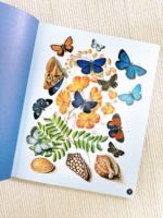 Libro de Trabajo Impreso Personalizado, Tapa Blanda con Encuadernación Perfecta