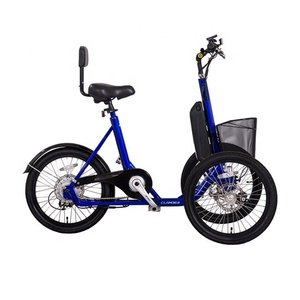Tricycles électriques pour le transport de marchandises, les courses, les voyages et usages multiples, pour transporter des marchandises et améliorer la vie quotidienne - Product Image 4