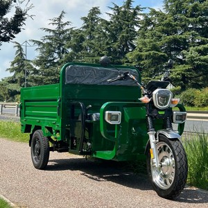Tricycle électrique certifié Autohoist 45 km/h EEC COC en stock moteur haute puissance <span class=keywords><strong>moto</strong></span> à trois <span class=keywords><strong>roues</strong></span> batterie 58 Ah - Product Image 2