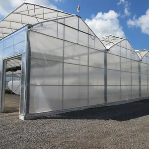 Sainpoly农业温室塑料薄膜温室出售中国温室金属框架农业温室