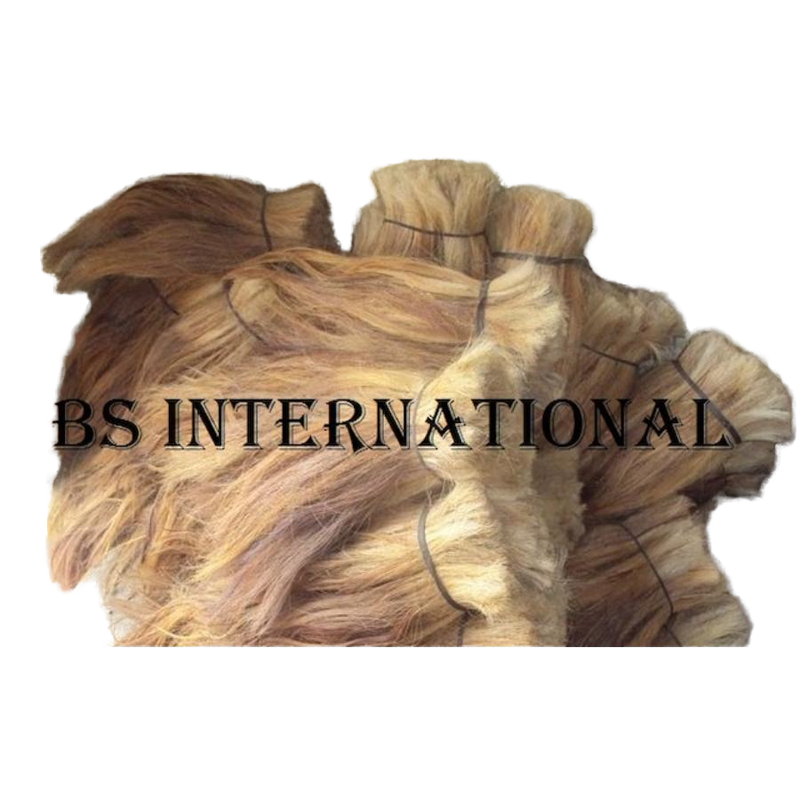 Wholesale Premium Quality Horse Tail Hair