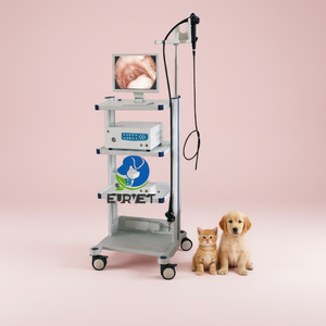 Endoscopio Veterinario de Bajo <span class=keywords><strong>Precio</strong></span> EUR VET, Endoscopio Flexible para Animales Pequeños, Sonda Rígida Flexible, Endoscopio Médico Flexible CMOS - Product Image 1