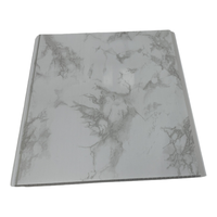 2*2 pies de alto brillante techos impermeable falso Pvc Panel de techo colorido Pvc Panel para techo para Decoración