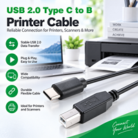 Câble USB Type-C vers USB 2.0 B mâle personnalisé avec conducteur en cuivre pur, synchronisation de données haute vitesse pour ordinateur et imprimante, matériau PVC