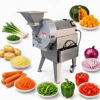 Kleine groentesnijder, -schaaf en -snijmachine voor aardappel, groene ui, pompoen, wortel en paprika