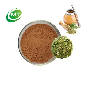 Pure Natural Organic High Grade Ilex Paraguariensis Yerba Mate Leaf Extract Powder