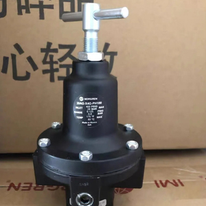 Buen Precio 20AG-X4G-PH100 20AG-X6G-PD100 Regulador de Alto Flujo Serie 20AG, G1/2, 0.2-8 Bar, Sin Manómetro - Product Image 6