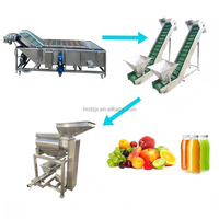 DZJX Volledig Automatische Productielijn voor Geconcentreerd Fruitpulp voor Duindoorn Sap Puree Drank Pulpmachine