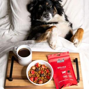 Complément Nutritionnel pour Animaux de Compagnie sous Marque Privée OEM/ODM – Friandises Tendres pour Chiens, Soutien à la Santé et Vitamines pour Chiens - Product Image 3