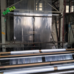 Film de paillis <span class=keywords><strong>en</strong></span> plastique de 25 microns LDPE avec UV pour l'agriculture, le jardin, trou de poinçonnage pour l'ananas, film de paillis noir et <span class=keywords><strong>argent</strong></span>é pour la ferme maraîchère - Product Image 6