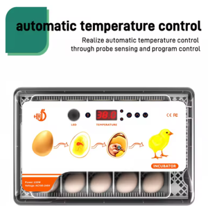 卵孵化器 工場直送 競争力のある価格 大量購入対応 - Product Image 1