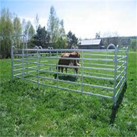 Panneaux de clôture pour bétail galvanisés à chaud 6 pieds * 16 pieds, antirouille, robustes, pour enclos à taureaux, pour élevage de bovins