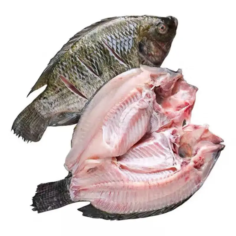 High Quality China Export Tilapia Farming Bulk IWP Frozen Gutted Scaled Tilapia Fish Wholesale Price