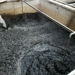 Máquina de flutuação de ar dissolvido para planta de tratamento de águas residuais de fábrica de tingimento/impressão Equipamento de tratamento de esgoto DAF - Product Image 6