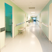 Linoleum – feuille de Bus en plastique, tapis d'hôpital, en vinyle gris, tapis de salle de sport, Style bois, Pvc, rouleau de sol