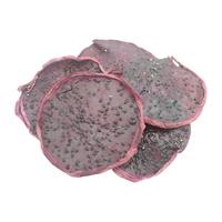 Grand stock de tranches de pitaya rouge séchées pour la formule des barres énergétiques et les mélanges de yaourt