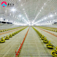 Poulailler personnalisé à bas prix pour 25 000 poulets, élevage de poulets, élevage de volailles