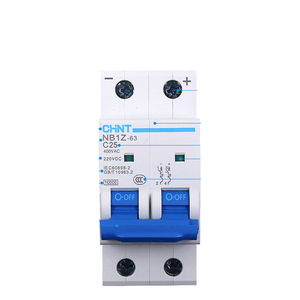 Interruptor de Aire NB1Z-63 2P C50A para Automóviles, 10A-63A 6kA 250V PA66, Interruptor Automático MCB de Cobre - Product Image 6