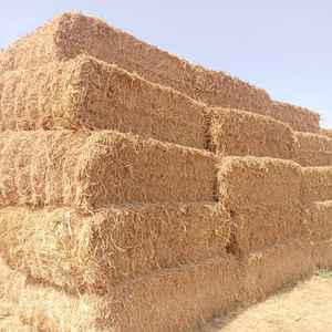 Paja de Trigo Natural Premium de Fibra Larga para Productos Biodegradables, Moldeo de Pulpa y Compuestos Ecológicos - Product Image 2