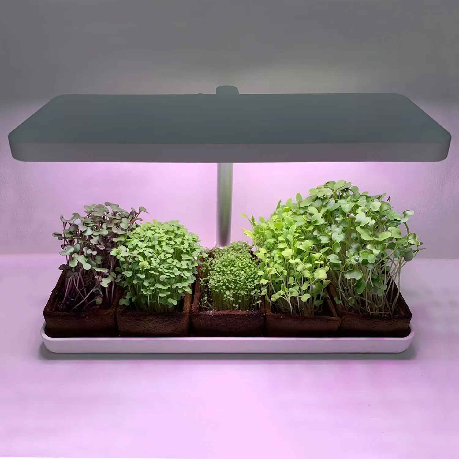 جهاز زراعة النباتات, جهاز صغير usb قابل للفصل إضاءة على سطح المكتب للنباتات بتقنية microgreen نظام زراعة عشب داخلي صغير للحديقة