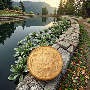 ผงซาโปนินจากชาออร์แกนิกสำหรับการเลี้ยงกุ้งและกุ้งน้ำจืด-ช่วยปรับปรุงคุณภาพน้ำและเพิ่มผลผลิต 50% - Product Image 2