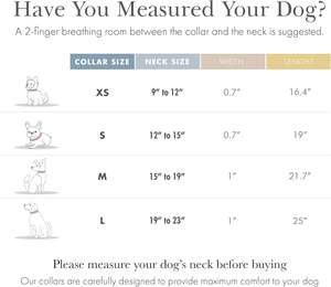 Collier pour chien personnalisé, collier pour chien Cupertino, cuir végétalien rembourré, <span class=keywords><strong>boucle</strong></span> réglable, collier en cuir pour chien avec support AirTag - Product Image 2