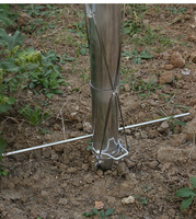 Transplanteur de semis à double main en acier inoxydable Planteur de légumes et de semences à main pour usage agricole État utilisé