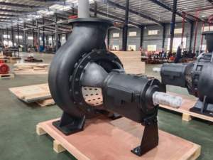 ¡Gran venta! Bomba <span class=keywords><strong>de</strong></span> agua centrífuga <span class=keywords><strong>de</strong></span> una etapa Horizontal <span class=keywords><strong>de</strong></span> hierro fundido <span class=keywords><strong>de</strong></span> succión final Bomba <span class=keywords><strong>de</strong></span> riego agrícola industrial - Product Image 3