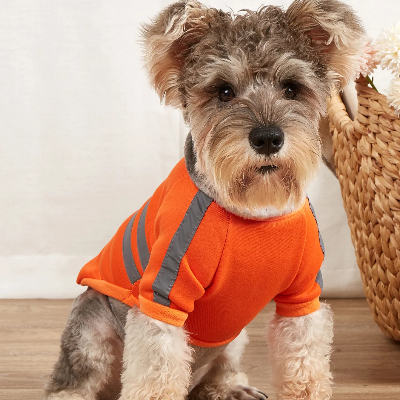 Pet köpek giysileri sevimli sıcak mont yansıtıcı kazak çekiş kıyafet kış sıcak görünürlük güvenlik ceket elbiseler karikatür katı