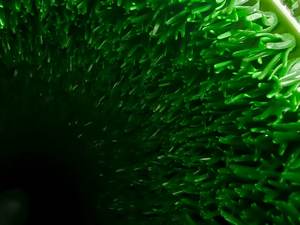 River <span class=keywords><strong>Gold</strong></span> Capture Mat-Tapete de mineração profissional com capacidade aprimorada <span class=keywords><strong>Gold</strong></span> Trapping - Product Image 5