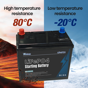 Batterie de démarrage de voiture 12V60Ah avec affichage du niveau de charge et de la tension, remplacement de batterie au plomb-acide, batterie de démarrage 800CCA, compatible Start-Stop - Product Image 1