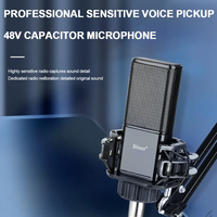 Vente chaude V-12 Microphone filaire professionnel à condensateur Studio 48V avec interface audio pour studio