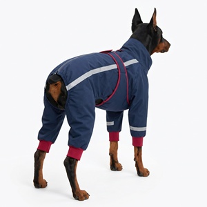 Imperméable de luxe personnalisé pour chien à quatre pattes, style color block de créateur italien - Product Image 5