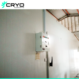 ห้องเย็นสัตว์ปีกอุณหภู<span class=keywords><strong>ม</strong></span>ิลึก100ton ช่องเก็บของเย็นสำหรับห้องเย็นสำหรับใช้ในร่<span class=keywords><strong>ม</strong></span>ล็อกประตูห้องเย็นปลาแซลมอนขนาดคิงไซส์ - Product Image 5
