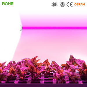 ไฟปลูกพืชแบบ LED ROHE 120W สีแดงและสีน้ำเงิน สำหรับปลูกพืชในระหว่างต้นไม้ ช่วงเจริญเติบโตและออกดอก - Product Image 2