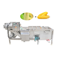 China fabrieks prijs fruit- en groentewasmachine, 304 roestvrij staal, bubbelwasmachine
