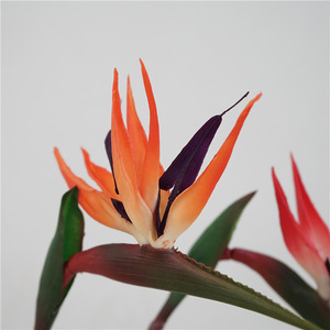 2025 nuovo paradiso degli uccelli 63CM arancio blu vero tocco fiori artificiali disposizione decorazione della casa - Product Image 3