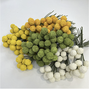 Ramo de Craspedia Artificial de Seda para Decoración del Hogar, Arreglos Florales para el Día de San Valentín y Graduación - <span class=keywords><strong>Billy</strong></span> Balls Amarillo Dorado - Product Image 1