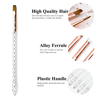 Offre Spéciale professionnel de luxe Uv Ombre plat ovale doublure inclinée Nail Art Gel ensembles de pinceaux poignée en acrylique transparent Logo personnalisé pour plus de détails