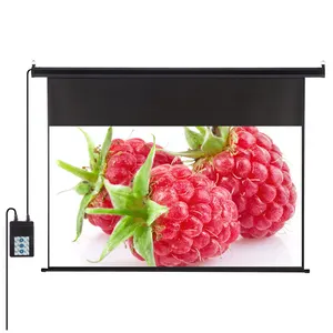 OEM 60 inch 400 inch Hard PVC Grey ALR Ambient Light Rejecting Projection Screen Electric Home Cinema