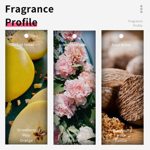 VILILY B039 Parfum 38ml Mini Parfum <span class=keywords><strong>En</strong></span> Gros Marque Originale Femmes Parfum Fruité Chypré Parfums Parfum - Product Image 3